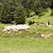 El ramat