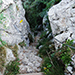Pel camí del aigua - Queralt