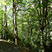 De Gresolet a coll de Baume