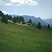 Pasturant