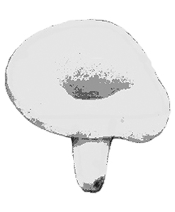 pebràs