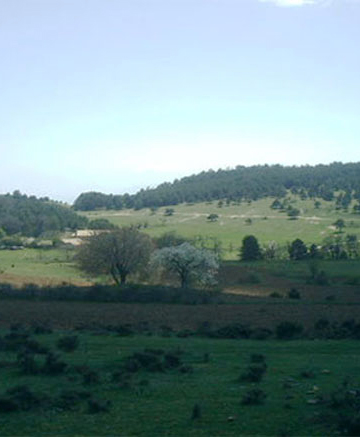 Cova de can Mauri 