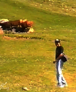 serra del Cadí