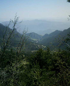 Vista de la font negra