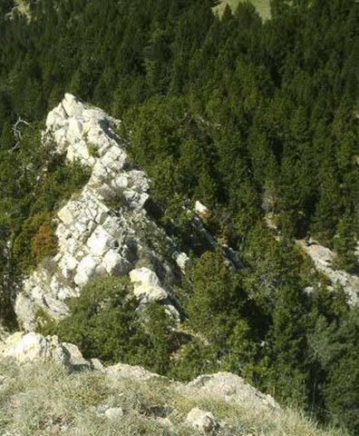 Vista desde el cim