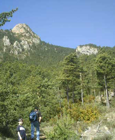 Comencem la ruta