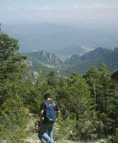 baixan del cim d'estela