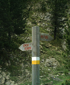 Ensija