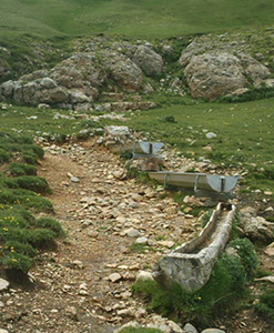 La font d'Ensija