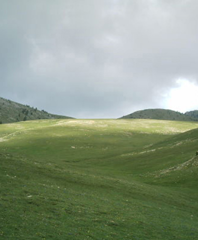 planells d'ensija