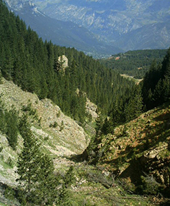 Barranc de les Llobateras