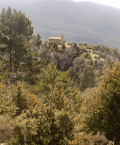 Sant Vicenç de Rus