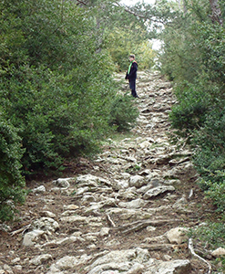 Pel camí que surt del trencant de l'estant 