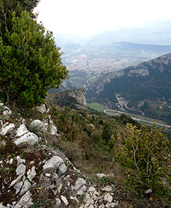 Vista cap a Berga