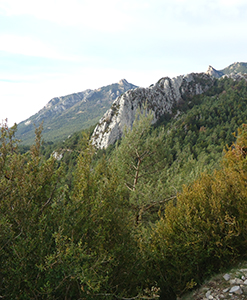 Vista del Cim d'Estela