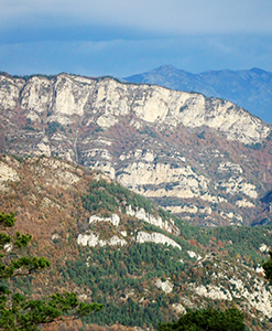 Vistas des de la Figuerassa