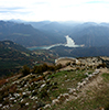 La Figuerassa