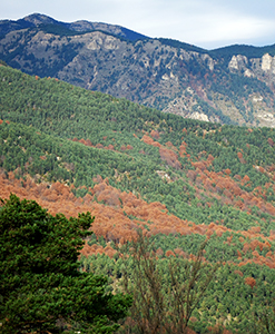 Vistas des de la Figuerassa
