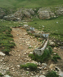 Font d'Ensija