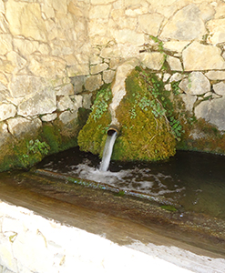 Font de cal Coix - Peguera