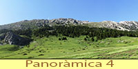 galeria4