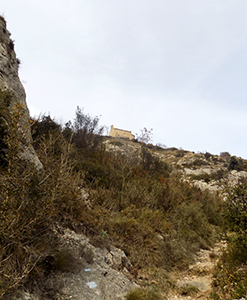 Vista del cami