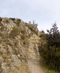 Arribant