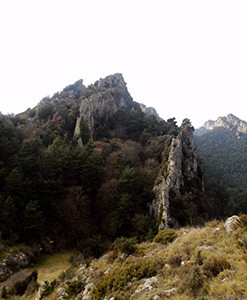 Vista de la serra de Queralt