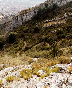El camí