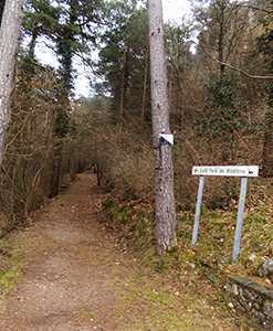 Arribant a l'asfaltada