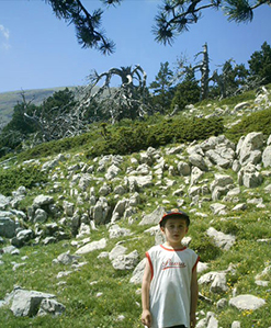 Pujant per la serra