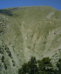 serra pedragossa