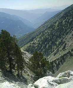 Santuari de Santa Maria de Queralt