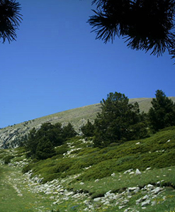 Serra Perragossa