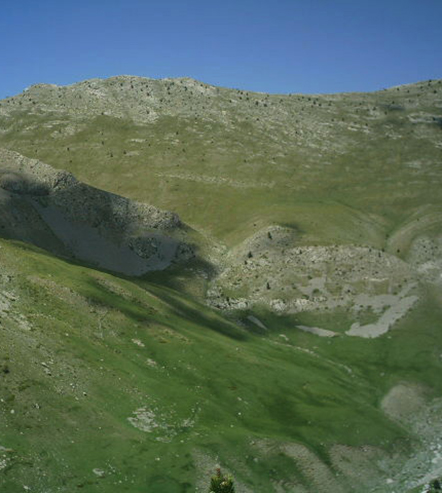 Serra Pedragossa