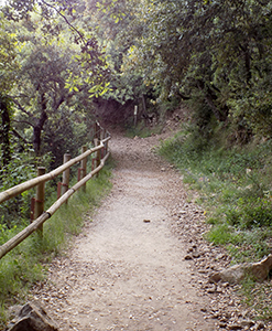 Camí de Queralt