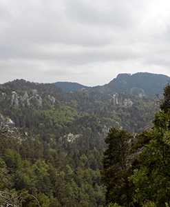 Vista del Catllaràs